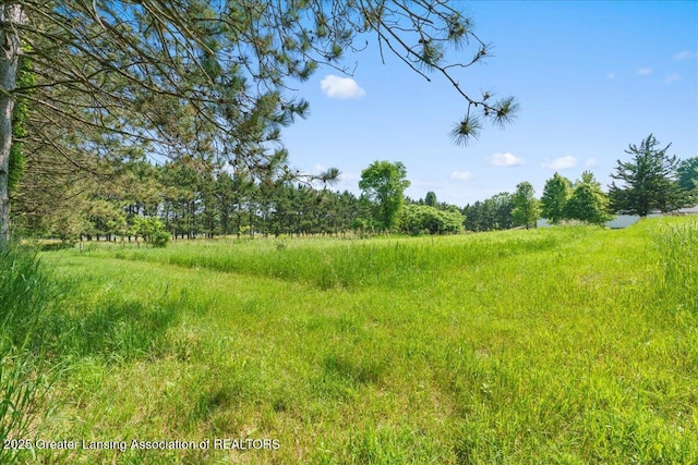 1754 S College Rd, Mason, MI 48854 - view of nature