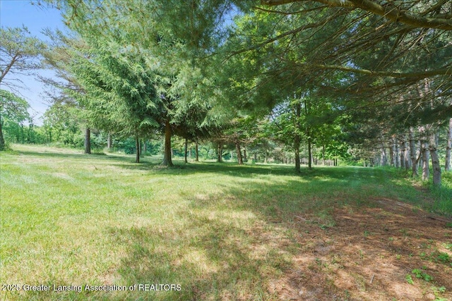 1754 S College Rd, Mason, MI 48854 - view of green lawn
