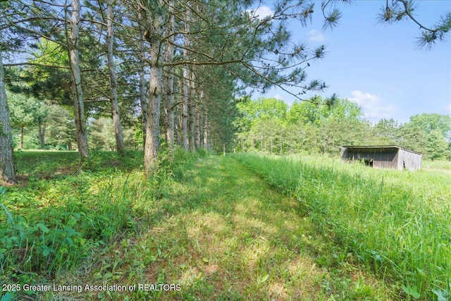 1754 S College Rd, Mason, MI 48854 - view of yard with an outdoor structure and a forest view