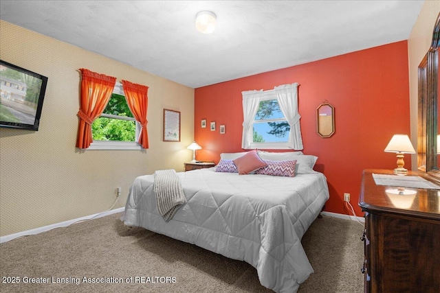 1754 S College Rd, Mason, MI 48854 - bedroom with multiple windows and carpet flooring