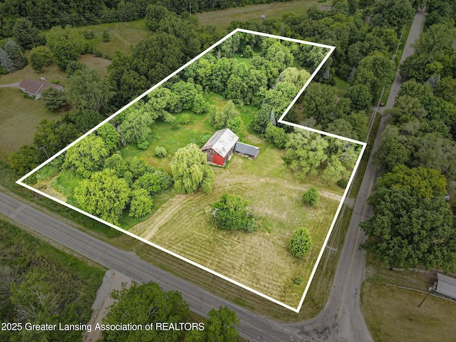 9022 Sayers Rd, Munith, MI 49259