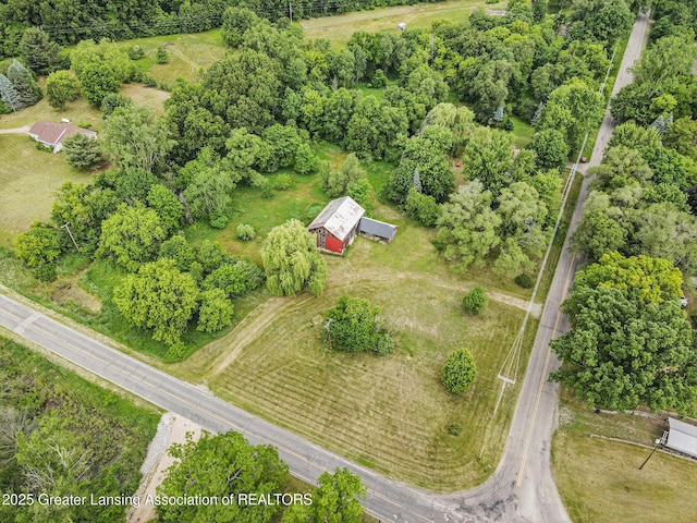 9022 Sayers Rd, Munith, MI 49259