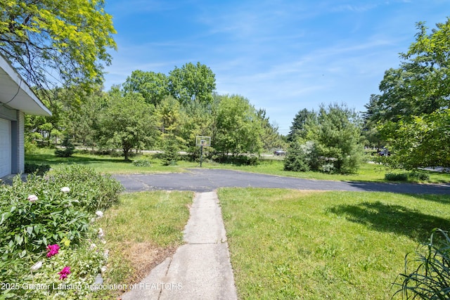 4487 Maumee Dr, Okemos, MI 48864 - photo 86