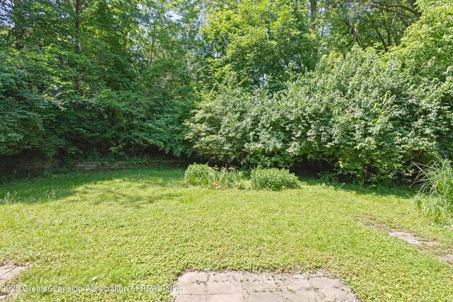 4487 Maumee Dr, Okemos, MI 48864 - photo 87