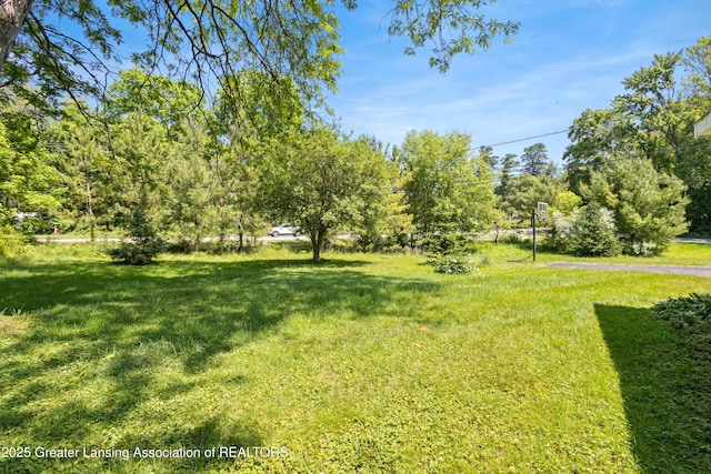 4487 Maumee Dr, Okemos, MI 48864 - photo 96