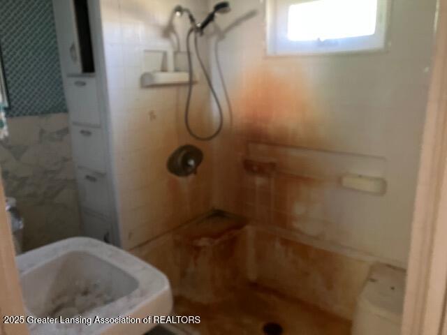 4405 Otto Rd, Charlotte, MI 48813 - bathroom featuring tiled shower and tile walls