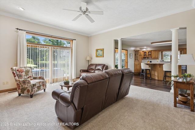 169 Mapleview Dr, Charlotte, MI 48813 - living room with decorative columns, carpet flooring, ornamental molding, a ceiling fan, and a textured ceiling
