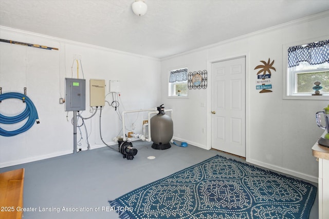 169 Mapleview Dr, Charlotte, MI 48813 - workout room with electric panel and crown molding