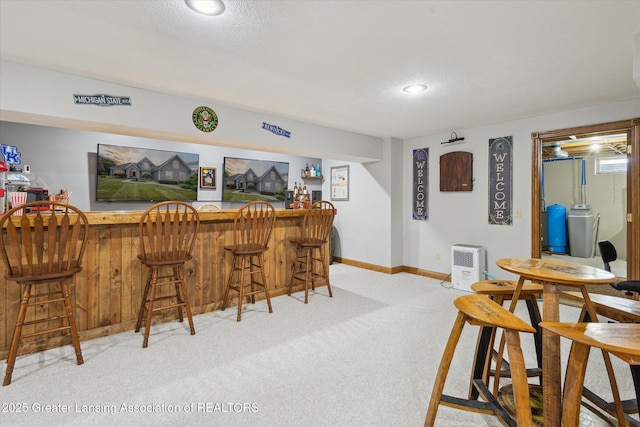 169 Mapleview Dr, Charlotte, MI 48813 - indoor dry bar with light colored carpet, a textured ceiling, and recessed lighting