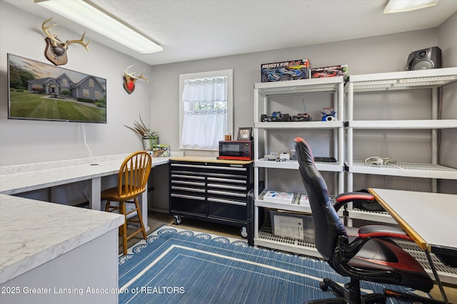 169 Mapleview Dr, Charlotte, MI 48813 - view of home office