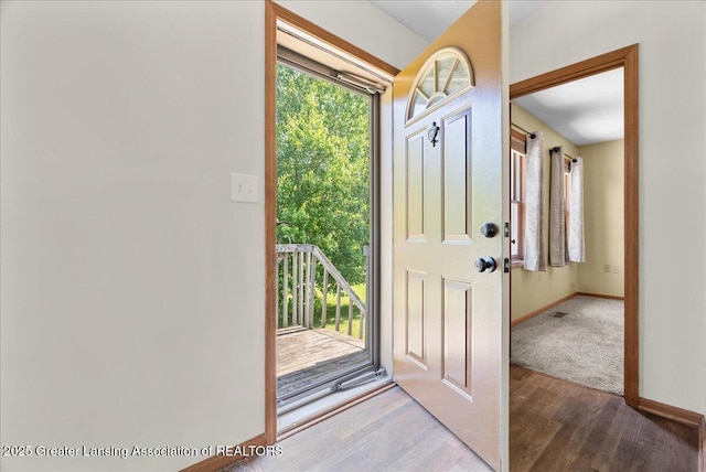 1313 W Alward Rd, Dewitt, MI 48820 - foyer with wood finished floors and baseboards