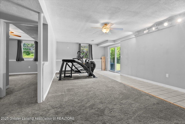 1313 W Alward Rd, Dewitt, MI 48820 - exercise area with ceiling fan, a textured ceiling, plenty of natural light, track lighting, and carpet