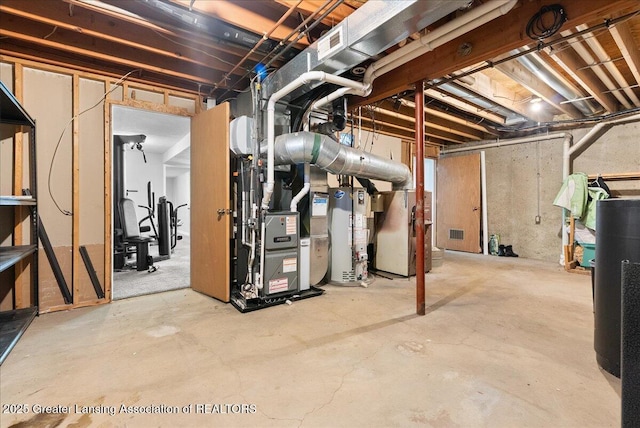 1313 W Alward Rd, Dewitt, MI 48820 - unfinished below grade area with water heater and heating unit