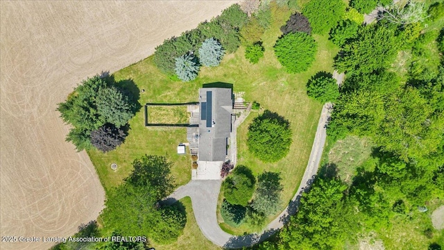 1313 W Alward Rd, Dewitt, MI 48820 - aerial view