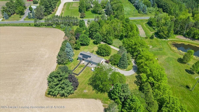 1313 W Alward Rd, Dewitt, MI 48820 - bird's eye view of a large body of water