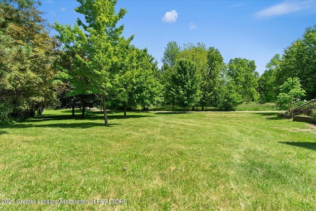 1313 W Alward Rd, Dewitt, MI 48820 - view of grassy yard