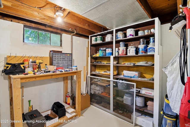6244 Daft St, Lansing, MI 48911 - view of storage room