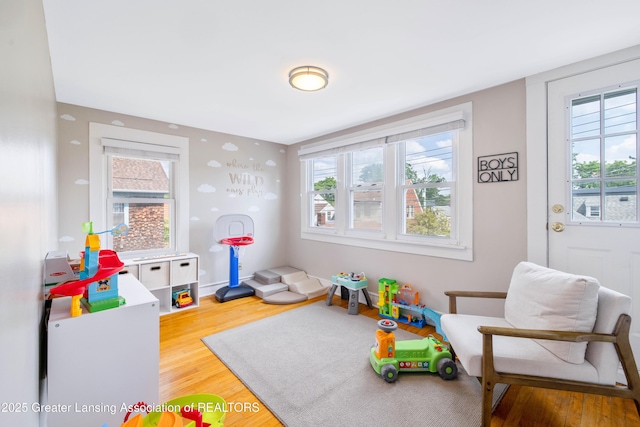 308 Memphis St, Lansing, MI 48915 - recreation room featuring wood finished floors and healthy amount of natural light