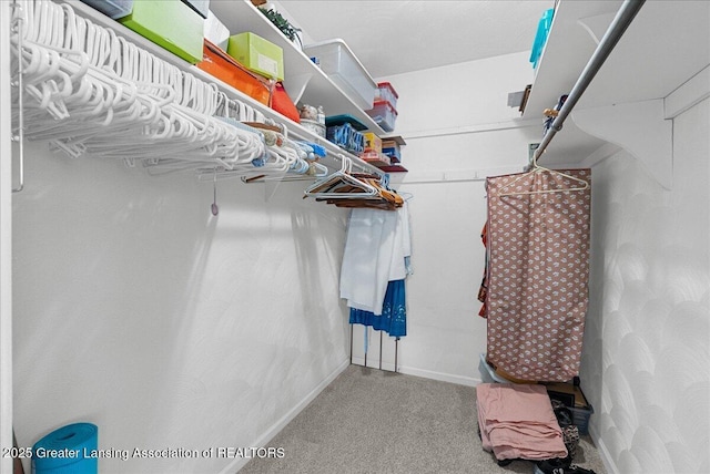10648 Bobsyl Ln, Grand Ledge, MI 48837 - walk in closet with carpet