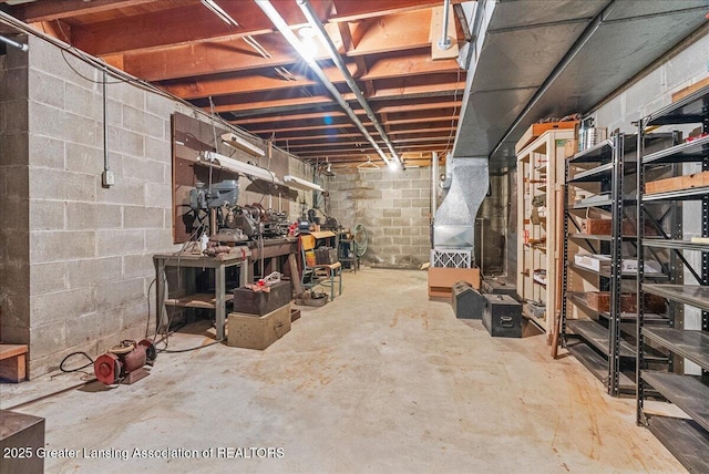 10648 Bobsyl Ln, Grand Ledge, MI 48837 - view of unfinished basement