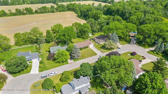 10648 Bobsyl Ln, Grand Ledge, MI 48837 - aerial perspective of suburban area