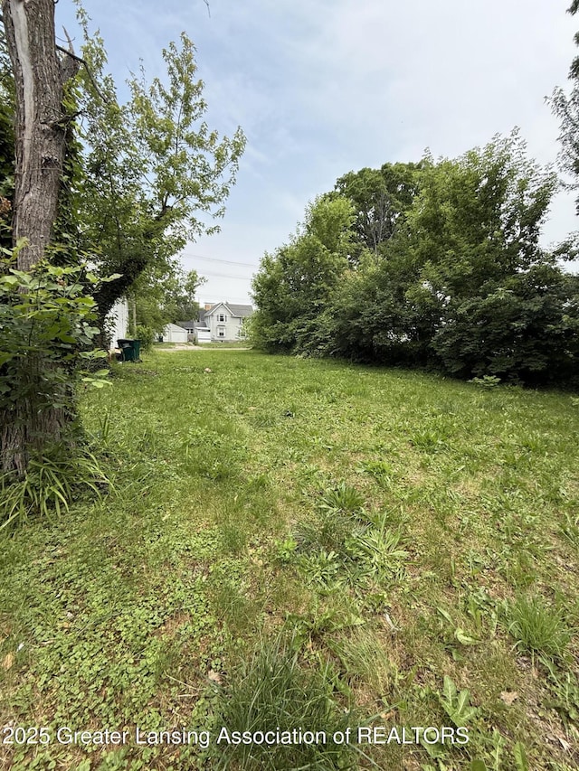 1018 E Kalamazoo St, Lansing, MI 48912 - view of yard