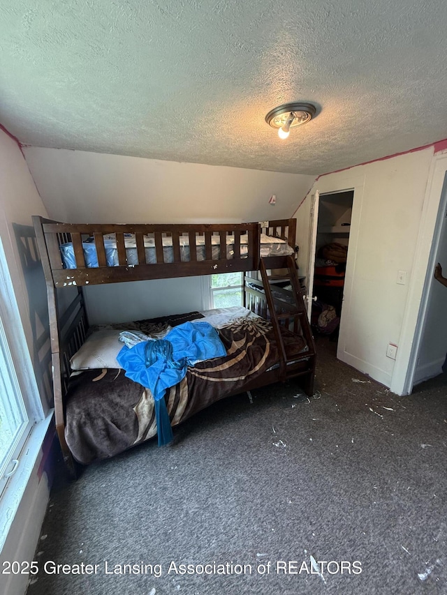 1018 E Kalamazoo St, Lansing, MI 48912 - bedroom featuring a textured ceiling, vaulted ceiling, and carpet