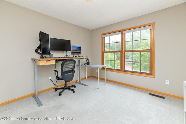 1302 S Spicewood Dr, Okemos, MI 48864 - photo 21