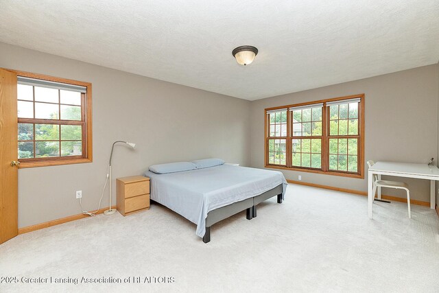 1302 S Spicewood Dr, Okemos, MI 48864 - photo 16