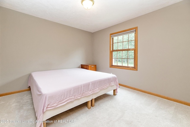 1302 S Spicewood Dr, Okemos, MI 48864 - photo 23