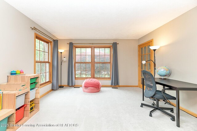 1302 S Spicewood Dr, Okemos, MI 48864 - photo 11