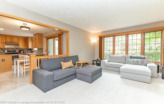 1302 S Spicewood Dr, Okemos, MI 48864 - photo 6