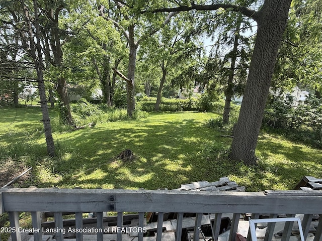 4317 S Cedar St, Lansing, MI 48910 - view of grassy yard