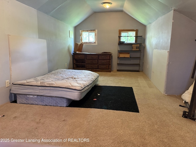 4317 S Cedar St, Lansing, MI 48910 - bedroom with carpet flooring and vaulted ceiling