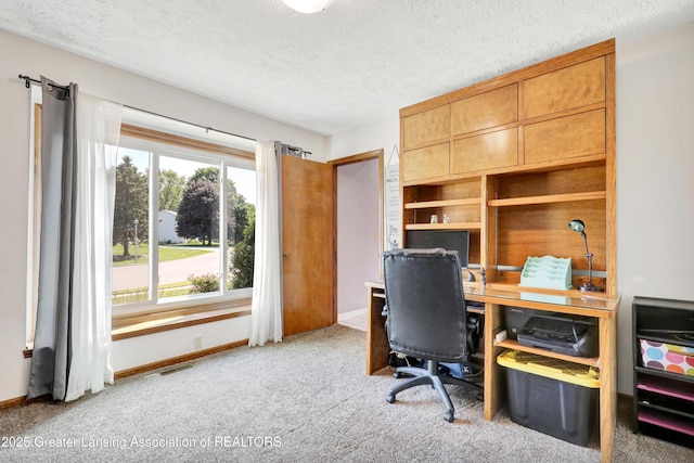 5925 Cabrena Dr, Lansing, MI 48917 - carpeted office space with a textured ceiling and baseboards