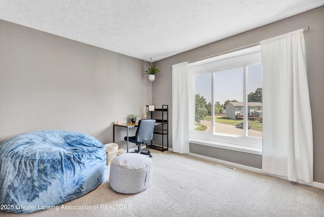 5925 Cabrena Dr, Lansing, MI 48917 - living area with carpet, a textured ceiling, and a desk
