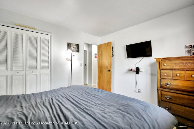 314 Scarlet Oak Ln, Perry, MI 48872 - bedroom featuring a closet