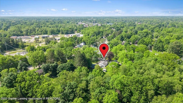 520 Wood St, Eaton Rapids, MI 48827 - view of property location featuring a forest