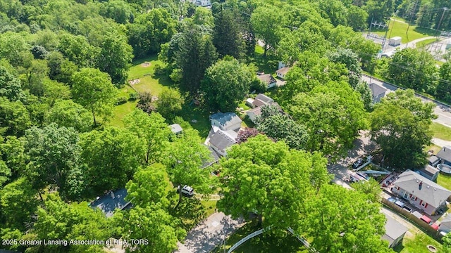 520 Wood St, Eaton Rapids, MI 48827 - aerial overview of property's location