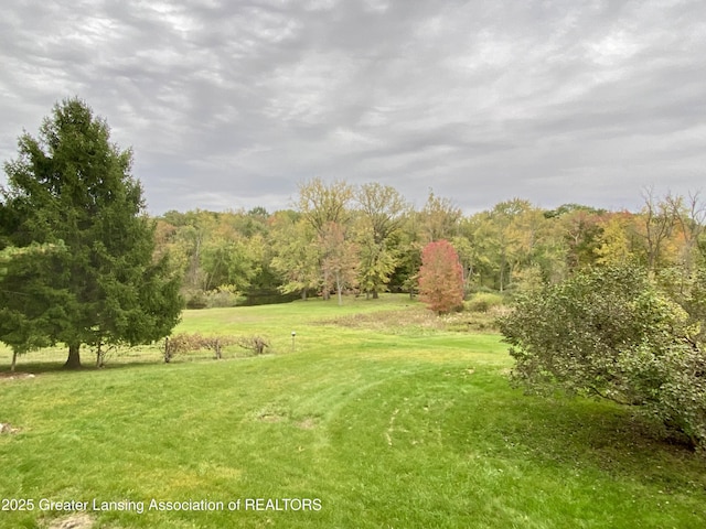 13433 S Grange Rd, Eagle, MI 48822 - view of green lawn featuring a forest view