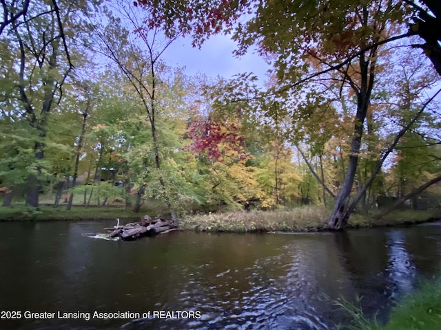 13433 S Grange Rd, Eagle, MI 48822 - water view