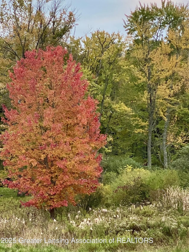 13433 S Grange Rd, Eagle, MI 48822 - view of wooded area