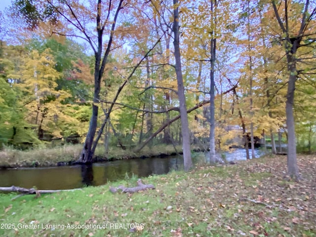 13433 S Grange Rd, Eagle, MI 48822 - water view