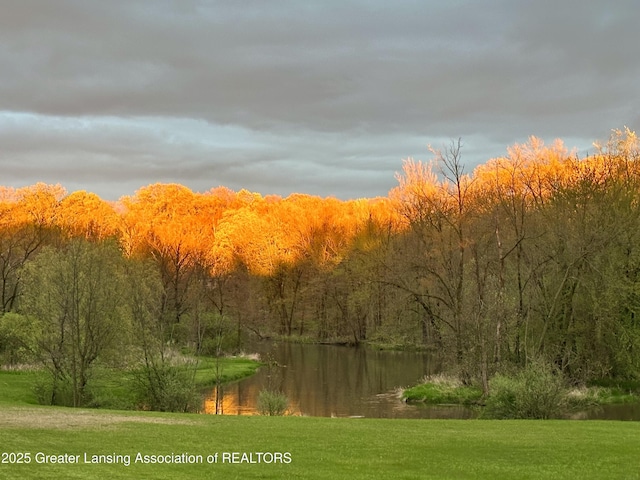 13433 S Grange Rd, Eagle, MI 48822 - view of mountain background featuring a heavily wooded area and a large body of water