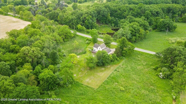 8805 E Cole Rd, Durand, MI 48429 - drone / aerial view