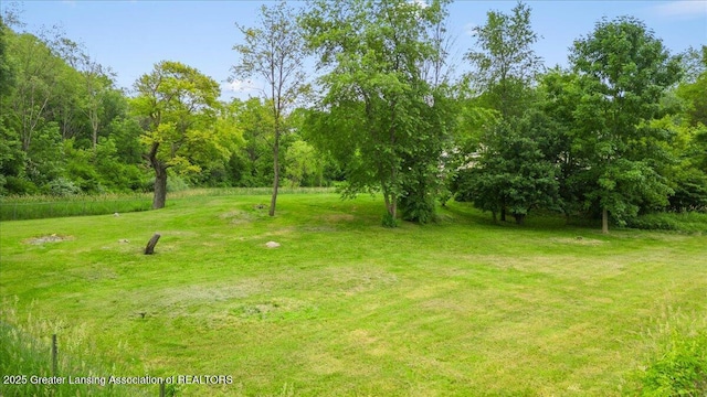 8805 E Cole Rd, Durand, MI 48429 - view of grassy yard