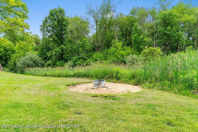 8805 E Cole Rd, Durand, MI 48429 - view of yard