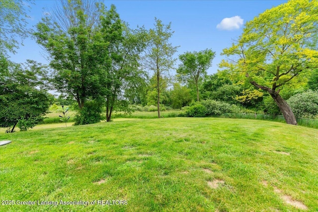 8805 E Cole Rd, Durand, MI 48429 - view of grassy yard
