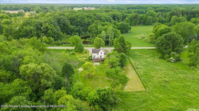 8805 E Cole Rd, Durand, MI 48429 - view of subject property with a forest