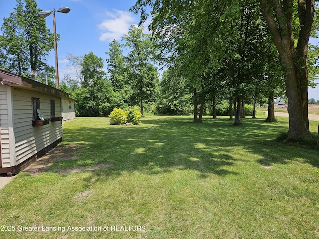 13723 Clintonia Rd, Portland, MI 48875 - photo 4